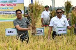 Bupati Lombok Timur Dorong Petani Tanam Cabai di Pematang Sawah untuk Dukung Kemandirian Pangan