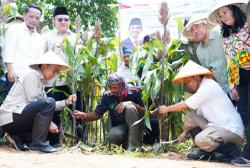 Menhut Ungkap Sorgum Tanaman Ajaib untuk Ketahanan Pangan