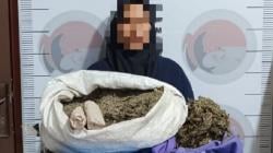 Bukannya Bertaubat, Nenek di Bener Meriah ini Malah Diringkus Polisi Karena Simpan 3,7 Kg Ganja