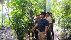 Di Depok Segera Punya Hutan Kota untuk Olahraga, Tak Perlu lagi Jauh-jauh ke Kebun Raya Bogor!