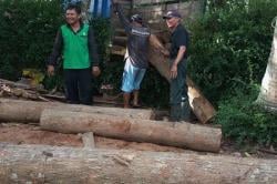 Ilegal Logging Marak di Banyuwangi, 16 Batang Kayu Jati Gelondong Ilegal Diamankan