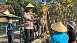 Polres Garut Optimalkan Ketahanan Pangan Lewat Panen Raya Jagung di Kampung Unggulan