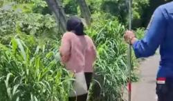 Viral! Seorang Wanita Minta Bantuan Damkar Ambil HP di Kali Tangerang gegara Ribut dengan Pacar