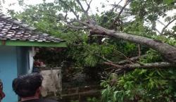 Sederet Petaka Cuaca Ekstrem di Kota Banjar: Dari Pohon Tumbang hingga Rumah Warga Tersambar Petir