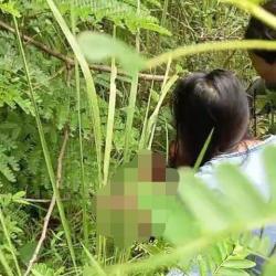 Geger! Bayi Laki-Laki Ditemukan Hidup di Hutan Jati Blora, Polisi Selidiki Pelaku Pembuangan