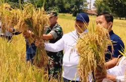 Panen Raya Padi di Mojokrapak, Bupati Jombang Sebut Sangat Memuaskan