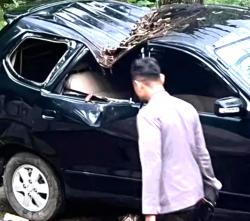 Tragedi Liburan Lebaran di Tawangmangu, Wisatawan Tewas Tertimpah Pohon Tumbang