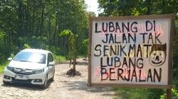 Respons Cepat Bupati Blora Terkait Aksi Tanam Pisang di Jalan Rusak Kecamatan Jiken