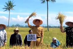 Cianjur Siapkan 9.000 Hektare Lahan Kering Guna Sukseskan Swasembada Pangan Nasional
