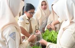 SMA Wijaya Putra Surabaya Gelar Harvest Day, Panen Sayuran Hidroponik di Sekolah Hasil Tanam Siswa