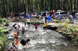 Tertib Sumbang Retribusi, Wisata Kali Pinusan Mendapat Apresiasi Bupati Lumajang