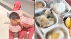 Murid SD di Bombana Muntah Setelah Makan Menu MBG, BGN Minta Maaf dan Janji Evaluasi