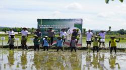 Blora Dukung Ketahanan Pangan Nasional Lewat Gerakan Tanam Padi Serentak