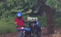 Serangan Tawon di Depan Sekolah! Petugas Damkar Selamatkan Motor Siswa, Beberapa Warga Jadi Korban