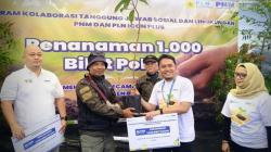 PLN Icon Plus dan PNM Tanam 1.000 Bibit Pohon Tanaman Ketahanan Pangan