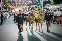 Madura Ethnic Carnival 2025 Angkat Warisan Budaya Topeng Madura