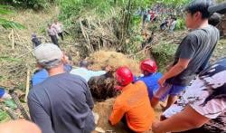 FOTO! Detik-Detik Evakuasi Pria Tertimbun Longsor Bambu di Magelang 