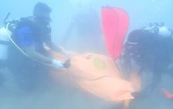 Tragedi di Laut Oeba: Redi Ditemukan Meninggal Setelah Sehari Terseret Arus