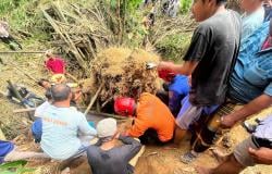 Potong Bambu, Yoto Tewas Tertimpa Longsor Dongklak