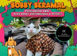 Bobby Si Gemoy Hebohkan PETFEST 2025! Kucing Kesayangan Prabowo Lelang Amal Baju Koleksinya