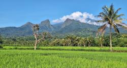 Mengenal Gunung Saeng Dengan Ketinggian 1.559 MDPL,  Lokasi Jatuhnya Pelajar Asal Jember