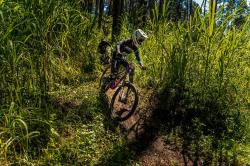 Atlet Indonesia Menjajal Sepeda Downhill Terbaru Polygon dari Ajang Ekstrem Red Bull Rampage