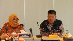 Gubernur Hidayat Arsani Dukung Belitung Jadi Carbon Free Island