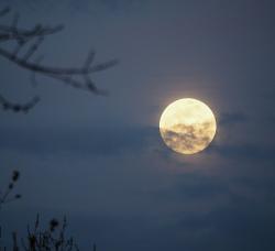 Langit Mei 2025 Akan Dihiasi Flower Moon hingga Hujan Meteor Eta Aquarids