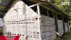 Potret Miris Pendidikan: SMPN 6 Bumal di Mamasa Masih Bertahan dengan Dinding Bambu dan Lantai Tanah
