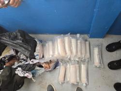 Bea Cukai Batam Bongkar Penyelundupan Benih Lobster Berkedok Kiriman Garmen