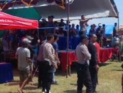 Kerapan Sapi Brujul di Kota Probolinggo Berujung Ricuh Antar Peserta
