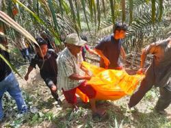 Diduga Korban Tenggelam, Mayat Ditemukan Mengapung di Sungai Tibun Kampar