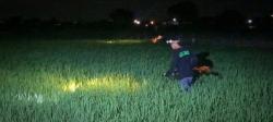 Gropyokan Tikus Berhadiah: Tradisi Unik Petani Gredek Perangi Hama