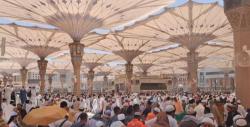 Cuaca Ekstrem di Madinah, Suhu Tembus 41°C: Jemaah Haji Diminta Bijak Jaga Kesehatan