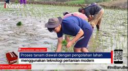 Video, Petani Milenial Pangandaran Turun ke Sawah