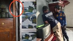 Tokek Bersarang di WC, Warga Cipedes Panik Akhirnya Hubungi Damkar Kota Tasikmalaya
