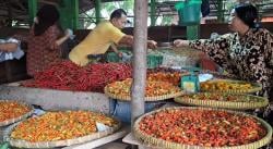 Harga Cabai di Pasar Mentok Mengalami Penurunan