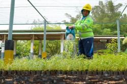 Tidak Hanya Turut Melestarikan Lingkungan, Program Keberlanjutan SIG Serap 20 Ribu Tenaga Kerja