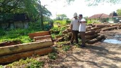 Viral! Petugas Perhutani Blora Kejar Pelaku Illegal Logging dengan Tembakan Peringatan Dua Kali