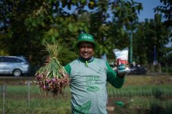 Gunakan Pupuk Nitroku dari Pupuk Kujang, Petani Bawang Merah di Brebes Ngaku Panen Lebih Meningkat