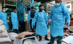 Barantin Banten Gagalkan Penyelundupan 2,9 Ton Daging Celeng di Merak