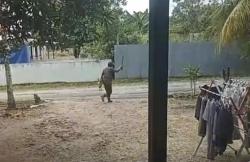 Heboh ODGJ Bawa Parang Ancam Warga di Lamandau