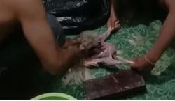 Viral, Atlet Binaraga Terpaksa Makan Ayam Tiren karena Tak Punya Uang, padahal Mau Bertanding!