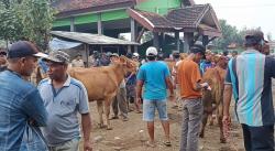 DPKPP Kota Probolinggo Siapkan 1.400 Dosis Vaksin PMK Jelang Idul Adha