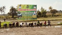 Panen Tiga Kali dalam Setahun, Robinsar Beberkan Strategi Pertanian Cilegon