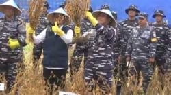 Keren! Kasal Panen Kedelai 4,5 Ton Sekaligus di 3 Wilayah, Bikin Impor Bisa Berkurang
