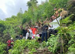Polres Kerinci Berhasil Ungkap Penemuan Ladang Ganja