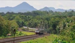 Ketika Kereta Api Melintas di Kulonprogo...
