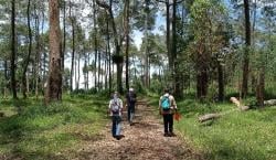 Targetkan 2,7 Juta Lapangan Kerja, Kadin Dorong Transformasi Kehutanan lewat Multiusaha