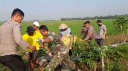 Warga Grobogan Digemparkan Penemuan Mayat di Saluran Irigasi Sawah